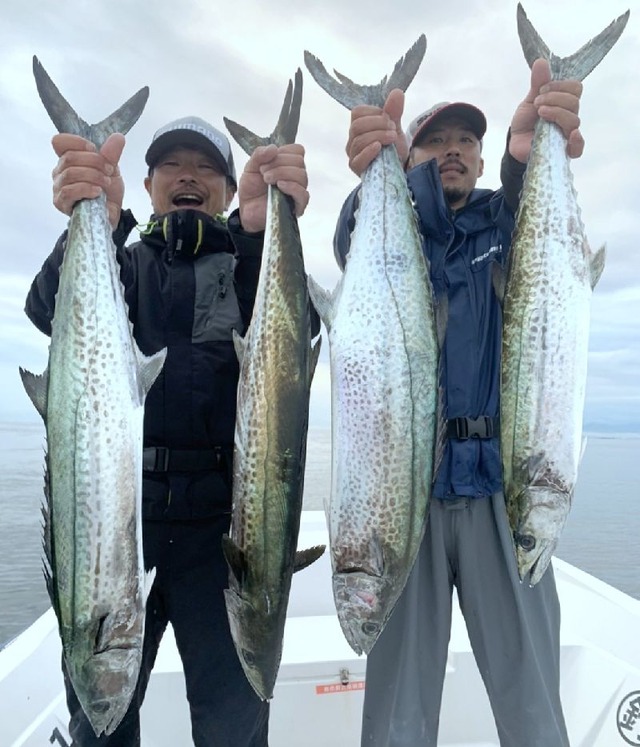 伊勢湾サワラキャスティング