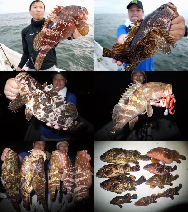 デカロックフィッシュ 釣果写真