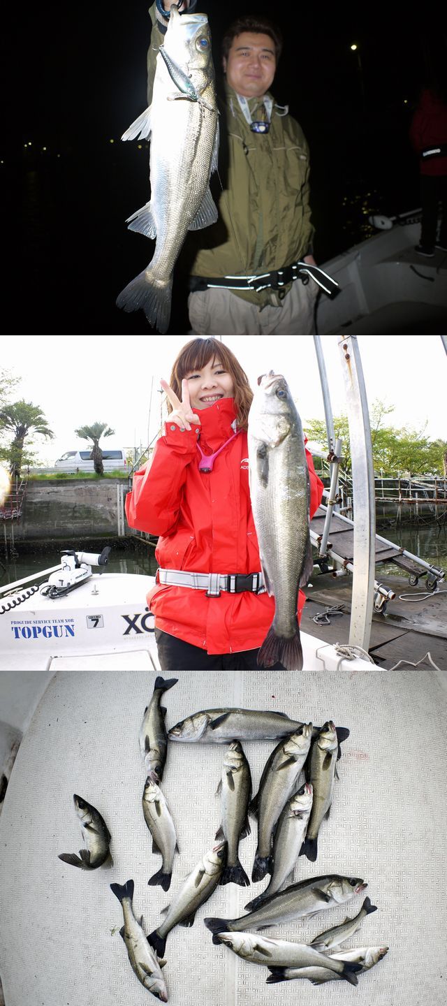 シーバス　釣果写真