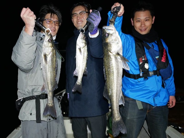 名古屋港　シーバス