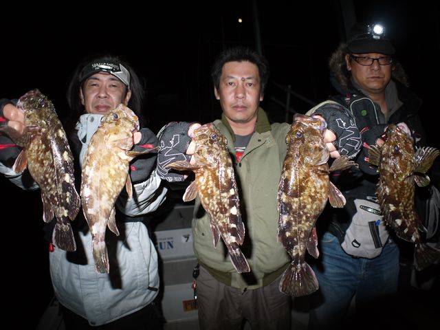 名古屋港　根魚