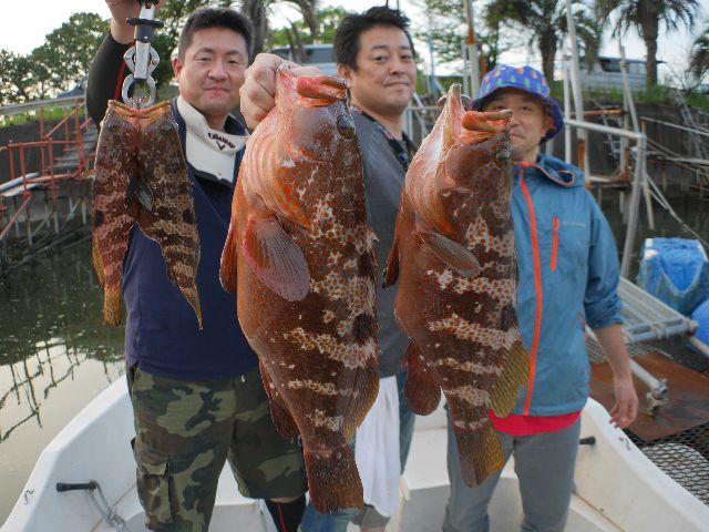 名古屋港　キジハタ