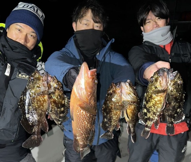 名古屋港キジハタ