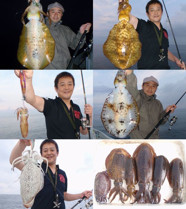 ボートエギング　釣果写真