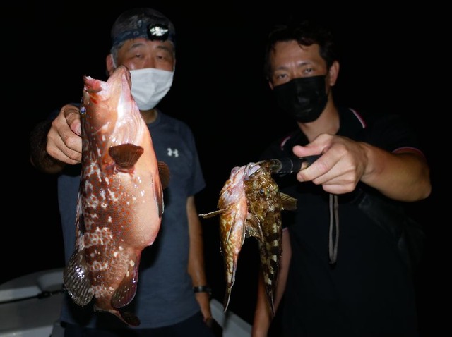 名古屋港 キジハタ 根魚