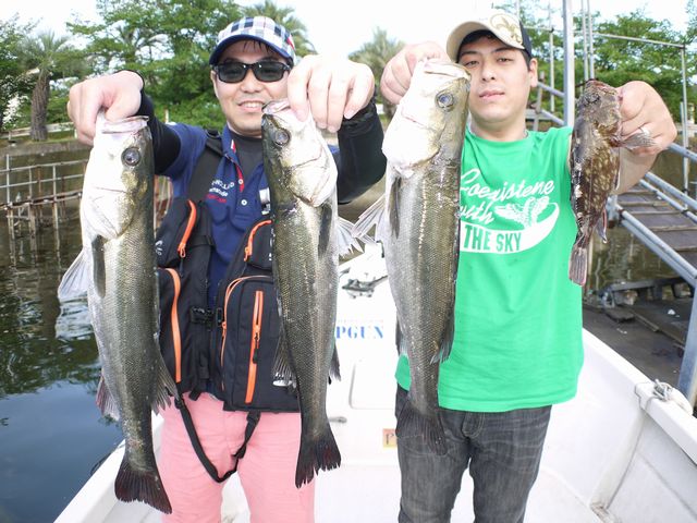 名古屋港　シーバス