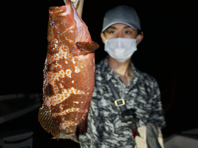 名古屋港 キジハタ カサゴ