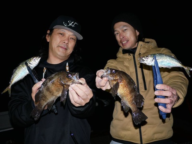 20名古屋港アジメバルシーバス