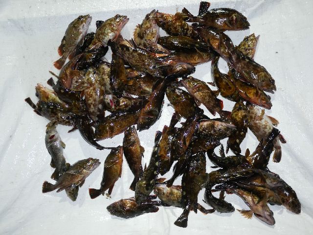 P1060620