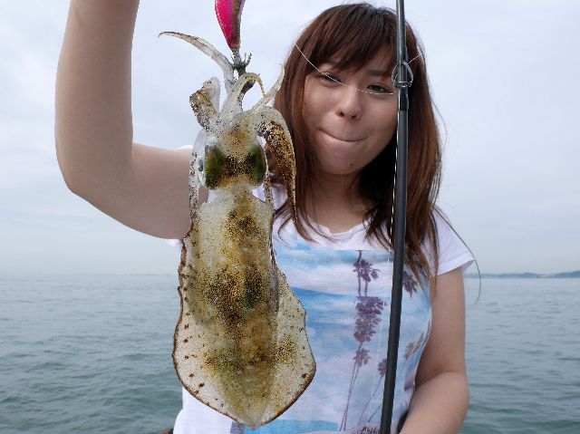 アオリイカ　#2