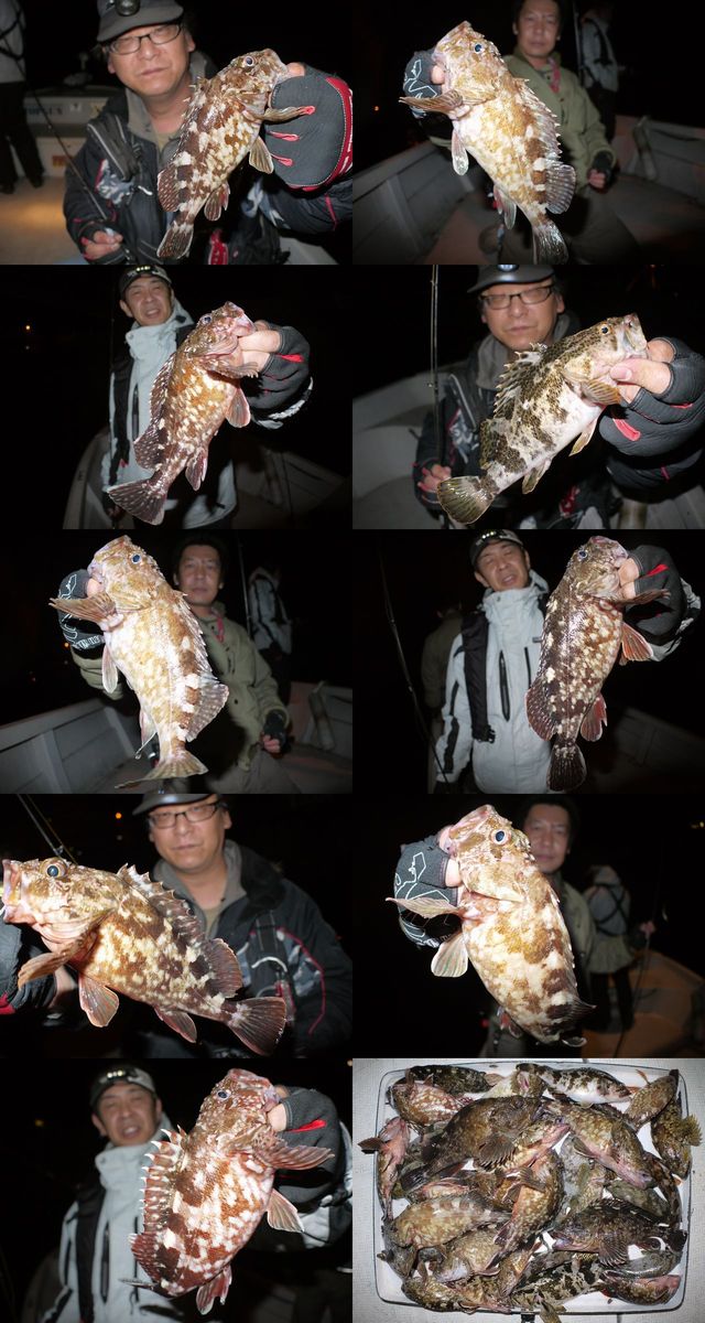 根魚　釣果写真