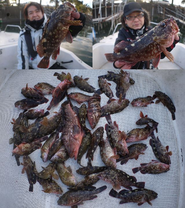 根魚　釣果写真 #1