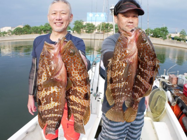 名古屋港キジハタ