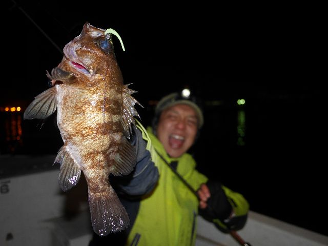 名古屋港　メバル (2)