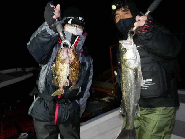 名古屋港　シーバス　根魚