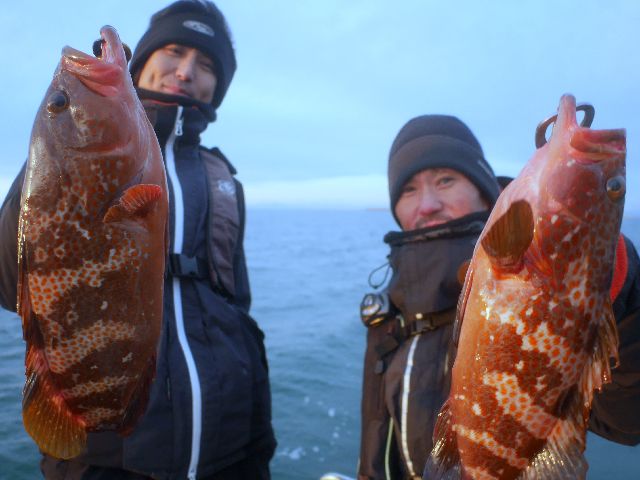 名古屋港　キジハタ