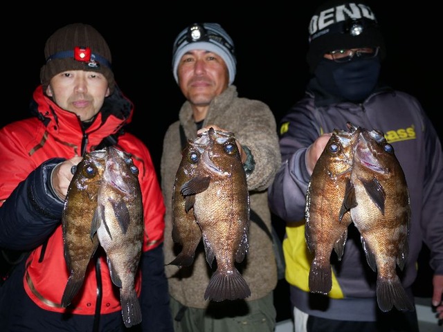 名古屋港メバル