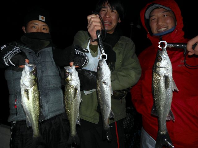 名古屋港 シーバス&根魚