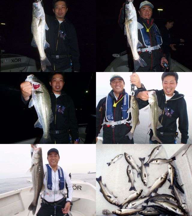 シーバス　釣果写真
