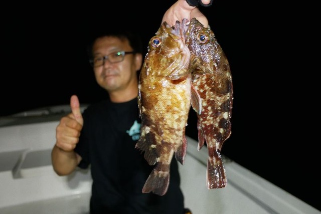 名古屋港　根魚