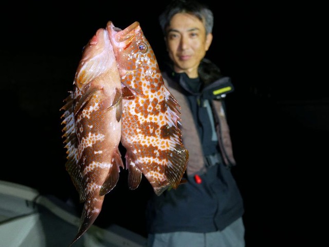 名古屋港キジハタ