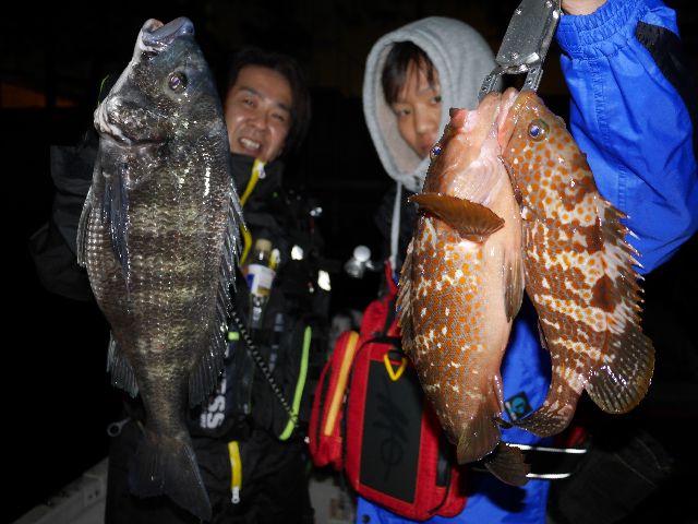 名古屋港　キジハタ＆クロダイ＆マゴチ
