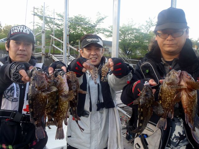 名古屋港　ロックフィッシュ