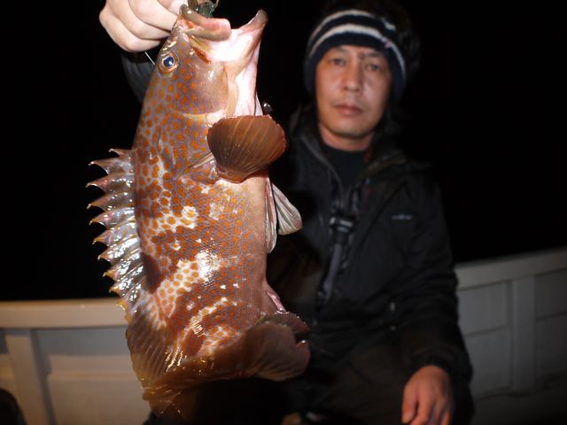 名古屋港　キジハタ