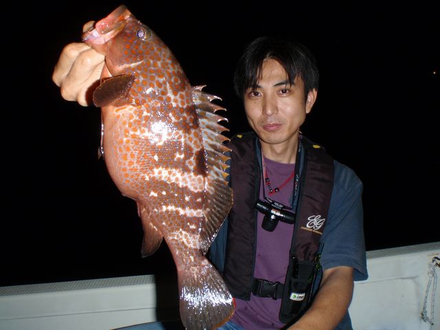 アズキマス40cm