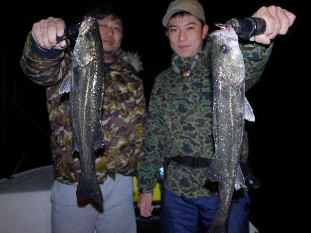 名古屋港　シーバス