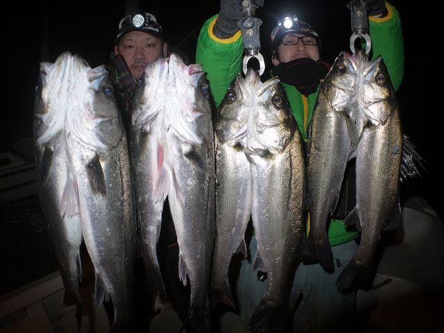 名古屋港　シーバス