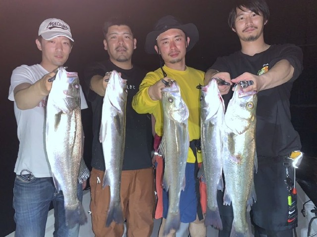 名古屋港 シーバス