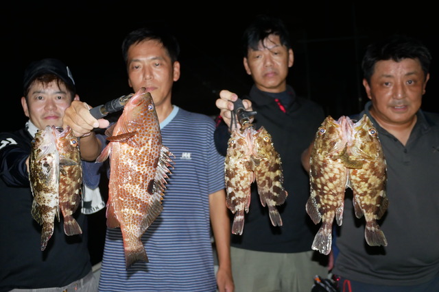 名古屋港 キジハタ 根魚