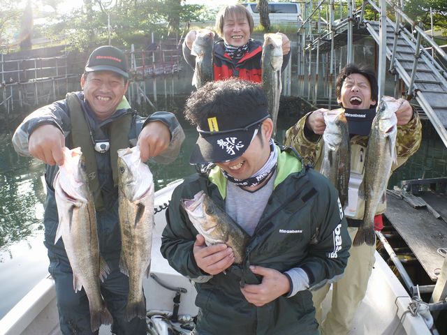 名古屋港　シーバス