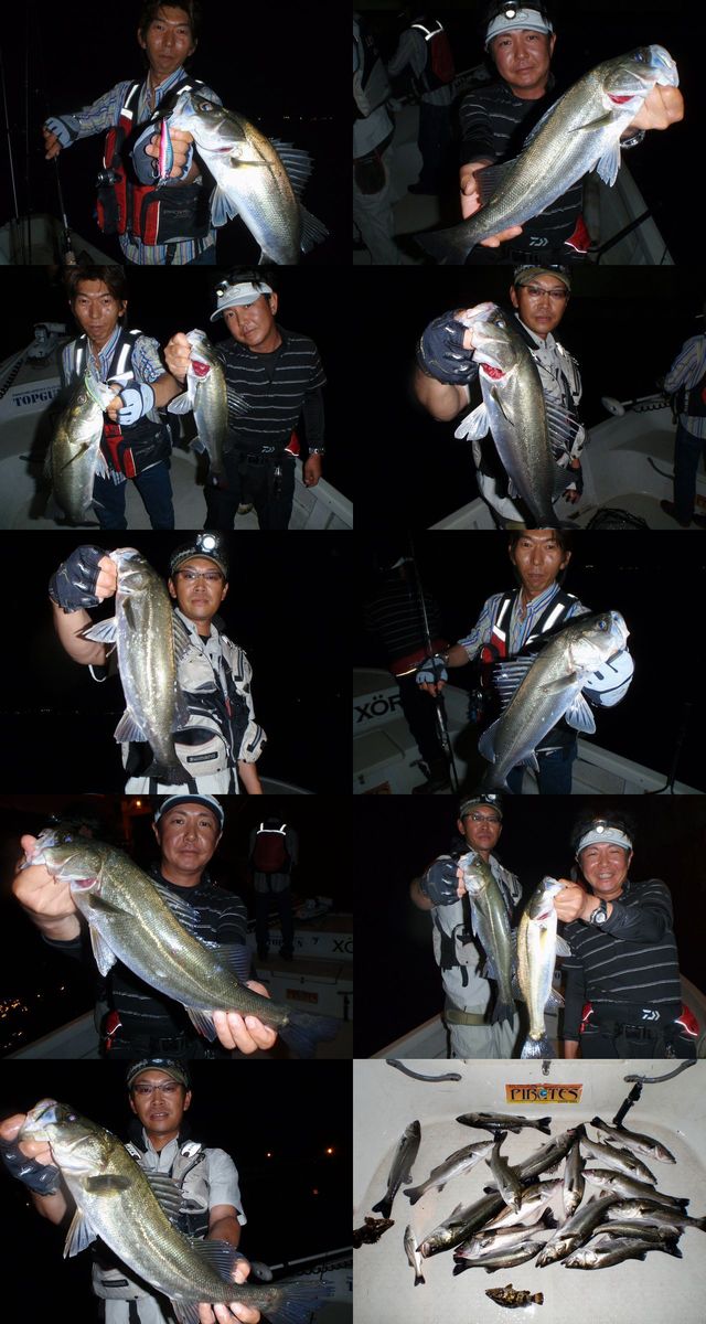 シーバス　釣果写真