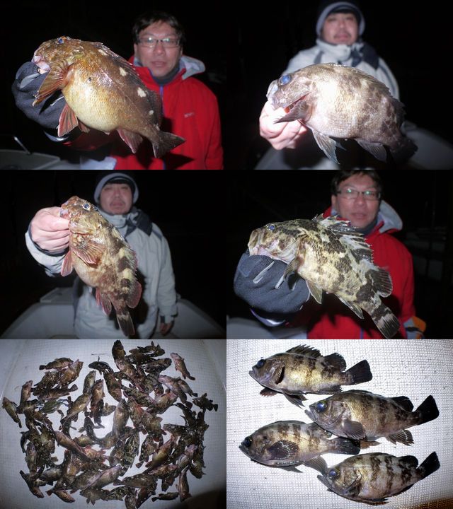 根魚　釣果写真