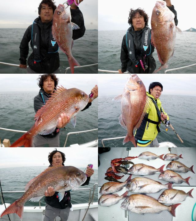 マダイ　釣果写真