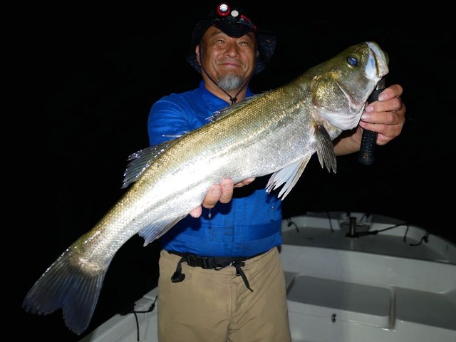 名古屋港シーバス