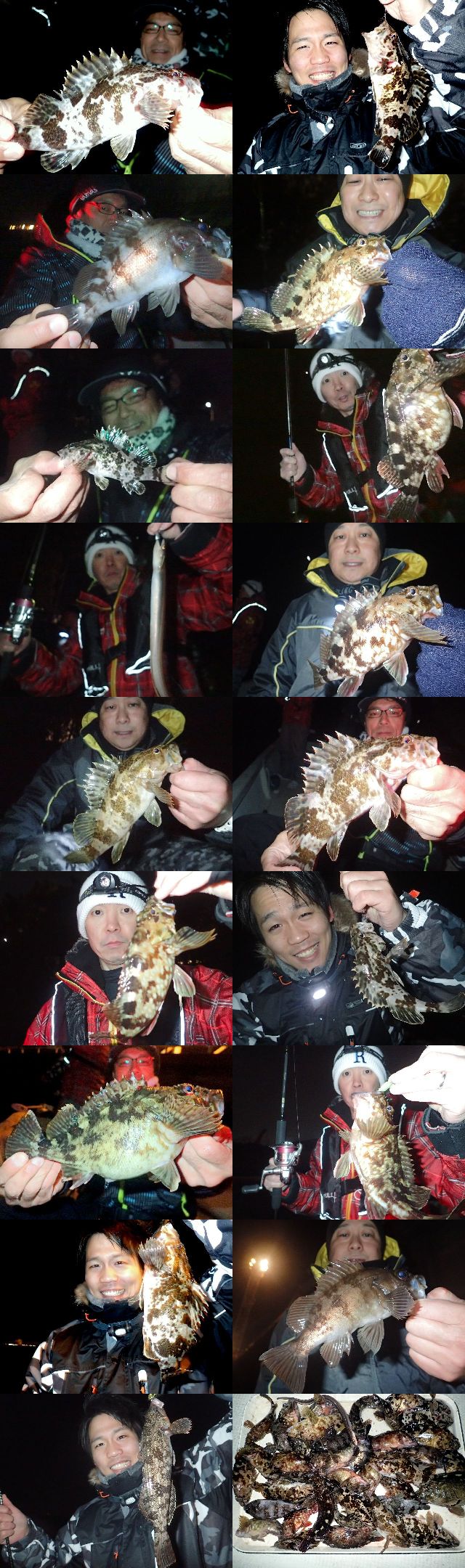 根魚　釣果写真