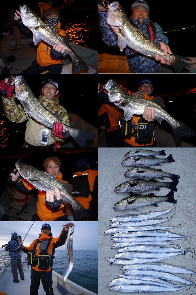 シーバス　タチウオ　釣果写真