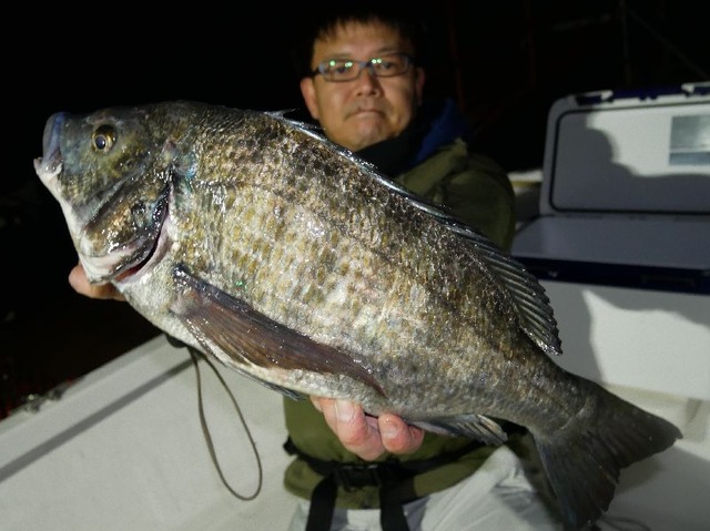 クロダイ　釣果写真