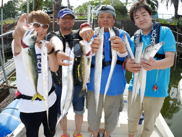 名古屋港 タチウオ