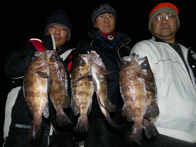 名古屋港　メバル　メッキ　シーバス