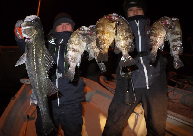 名古屋港　根魚　メバル　シーバス