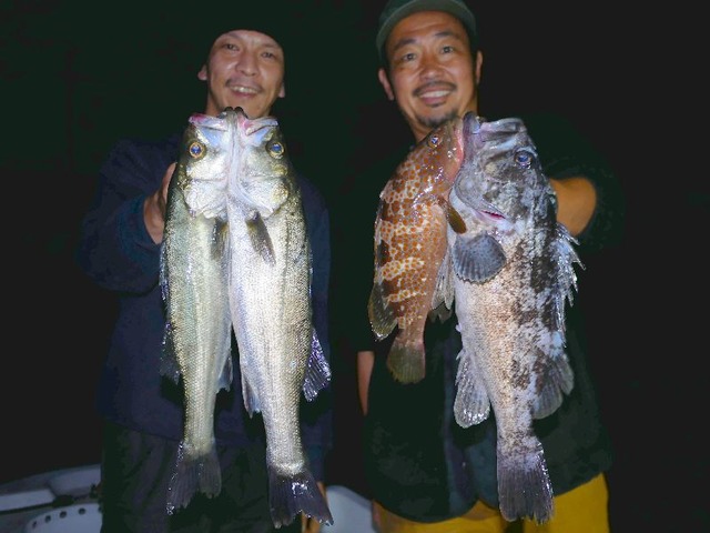 名古屋港　シーバス　根魚