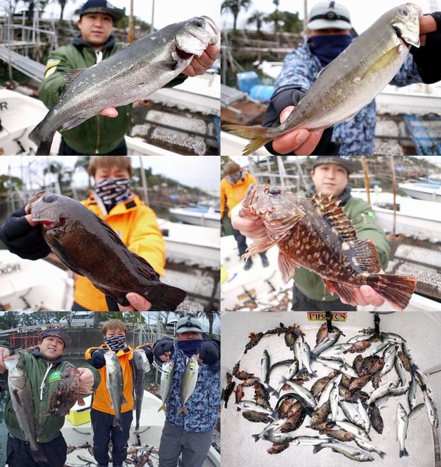 シーバス＆根魚 釣果写真