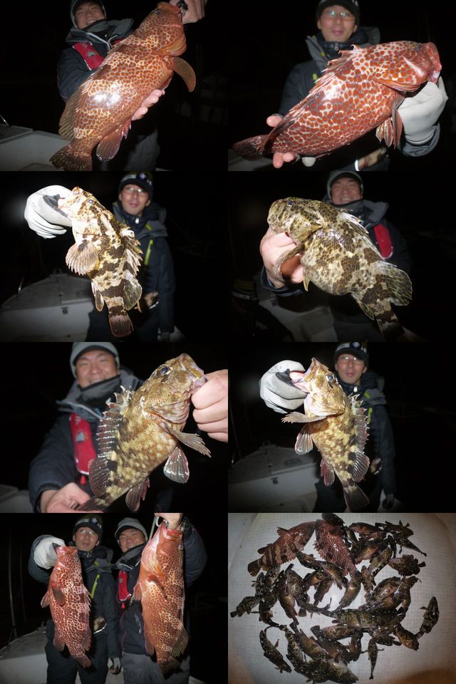 ロックフィッシュ　釣果写真