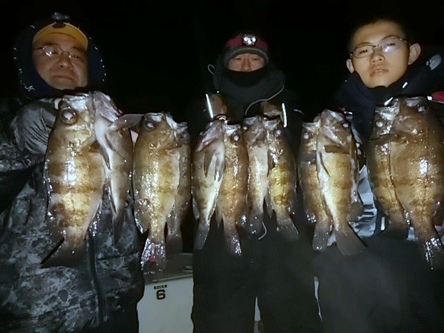 名古屋港　メバル