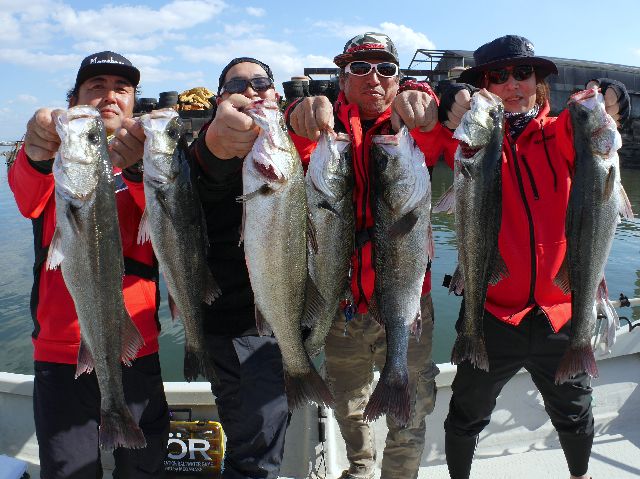 名古屋港　シーバス