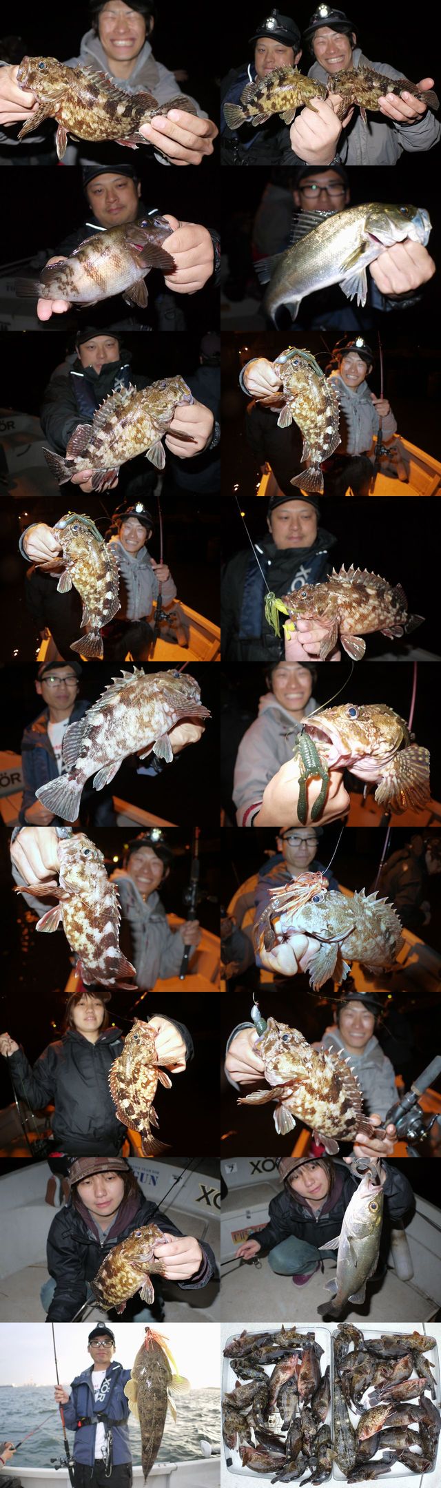 根魚　釣果写真